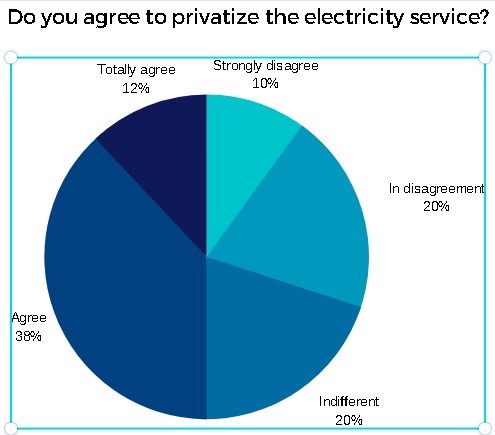 Privatize electricity service